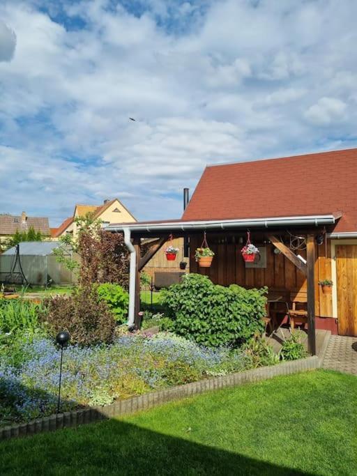 Ferienwohnung *Zur Weinbergstrasse* Lauta Exterior photo